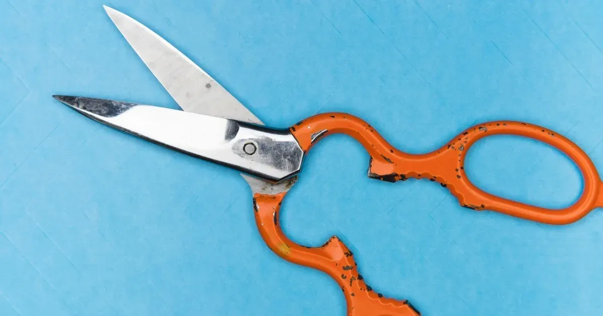 A pair of orange-handled scissors open on a blue background